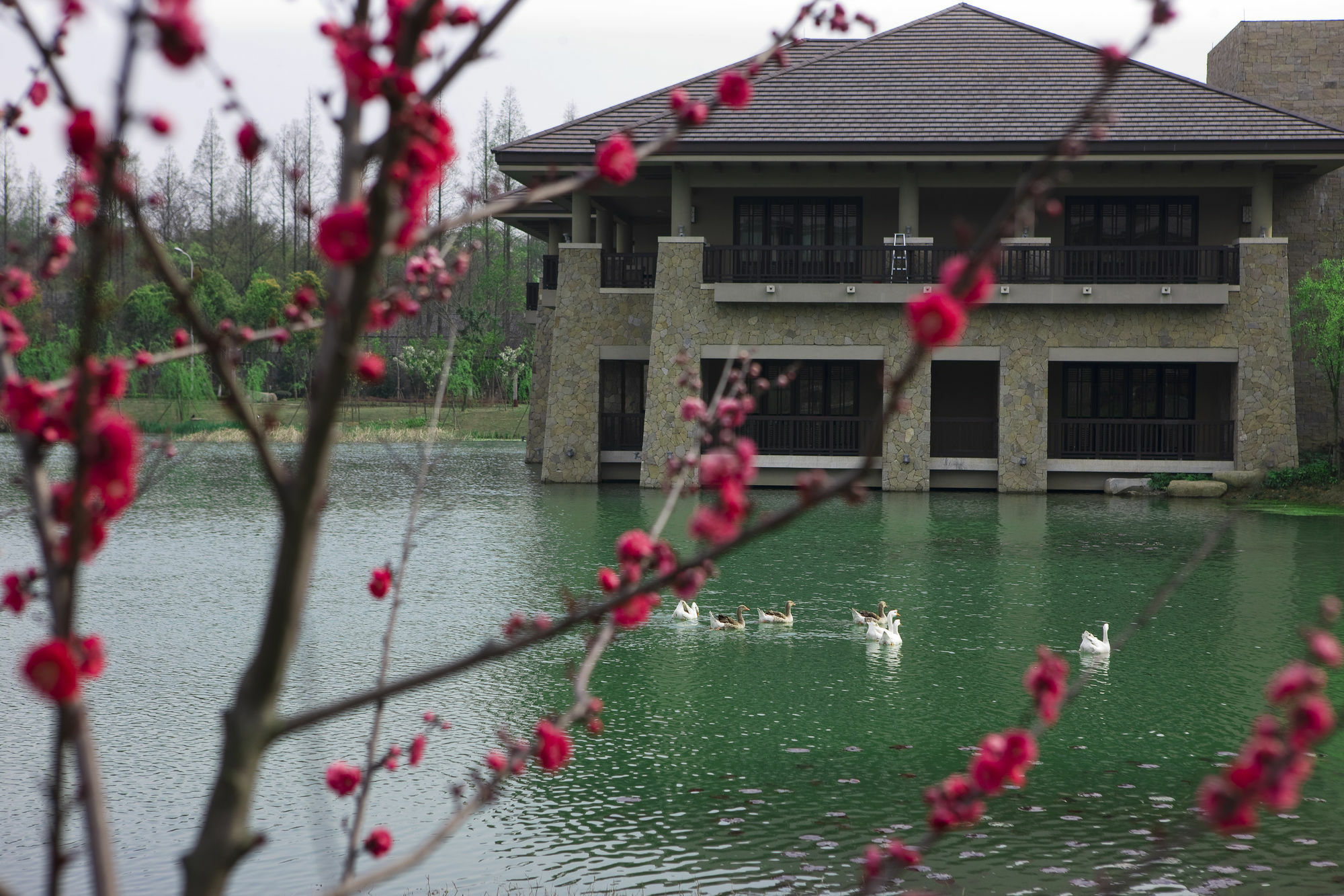 Narada Resort & Spa Liangzhu Ханджоу Екстериор снимка